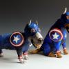 Captain America Dogs
$400
white dog SOLD